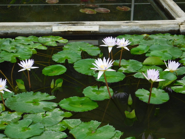 DSCN4956.JPG