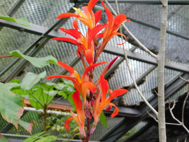 DSCN4957.JPG