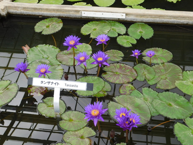 DSCN4958.JPG