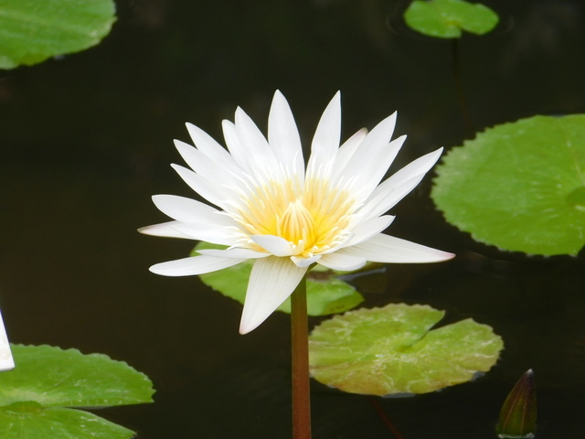 DSCN4962.JPG