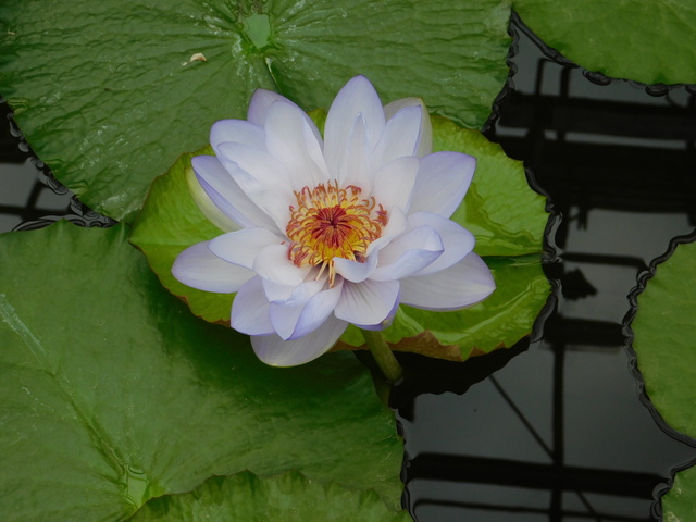 DSCN4971.JPG