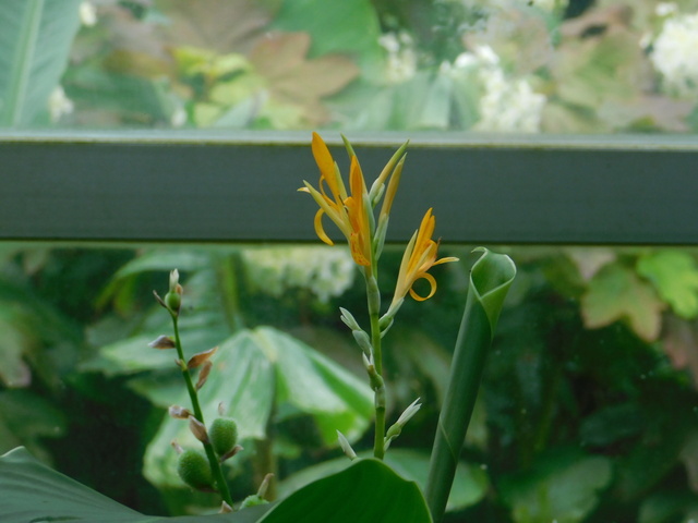 DSCN4974.JPG