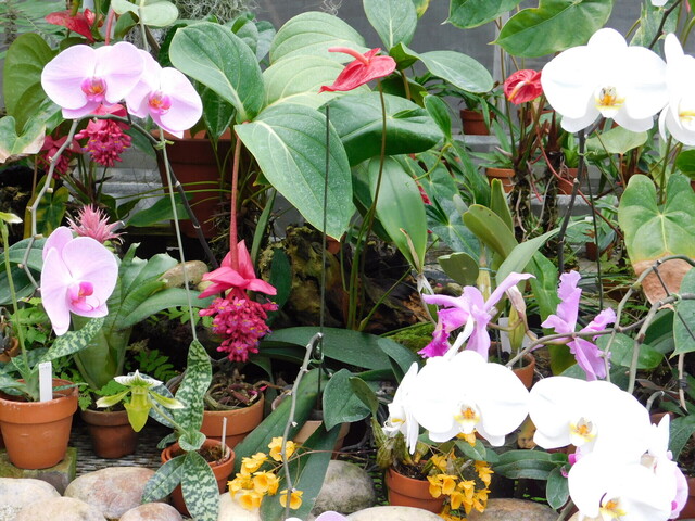 DSCN4977.JPG