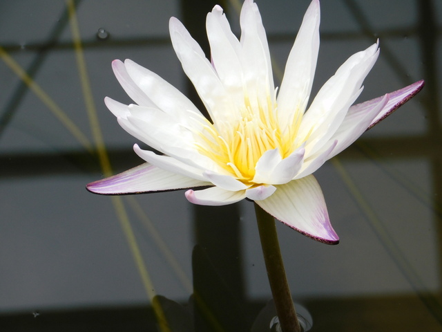 DSCN4980.JPG