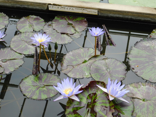 DSCN4982.JPG