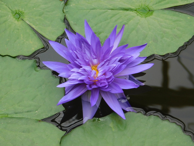 DSCN4987.JPG