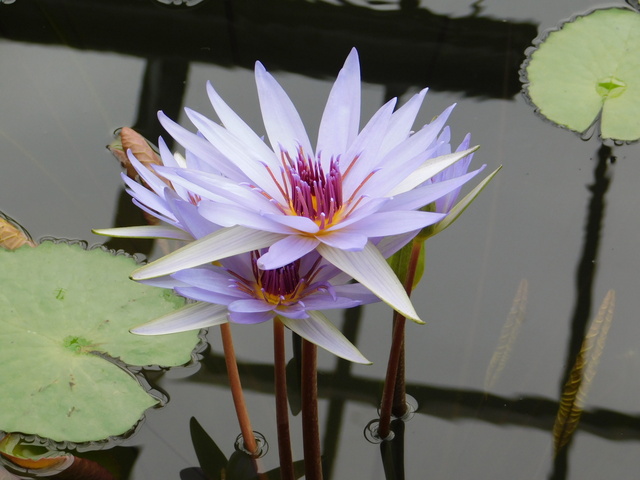 DSCN4997.JPG