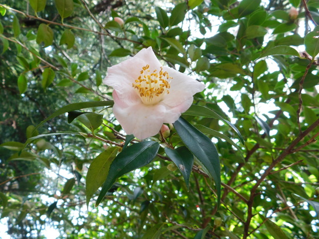 DSCN5023.JPG