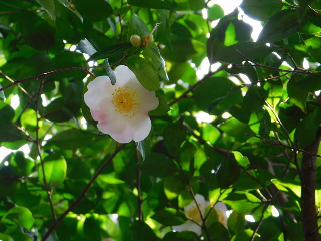 DSCN5031.JPG