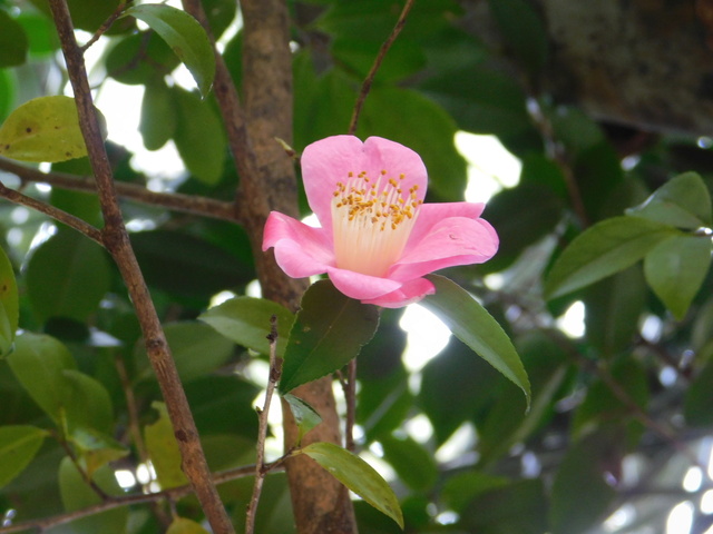 DSCN5036.JPG