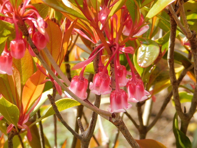 DSCN5045.JPG