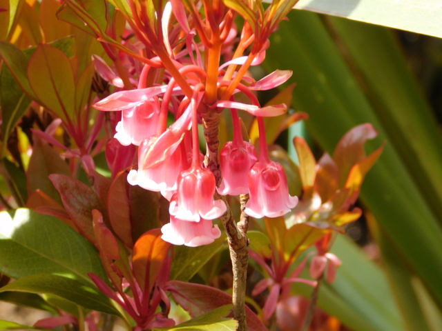DSCN5047.JPG