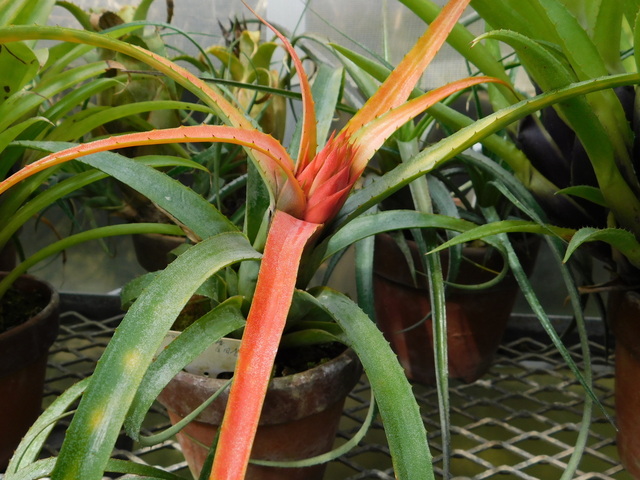 DSCN5102.JPG