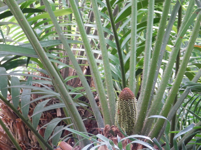 DSCN5110.JPG