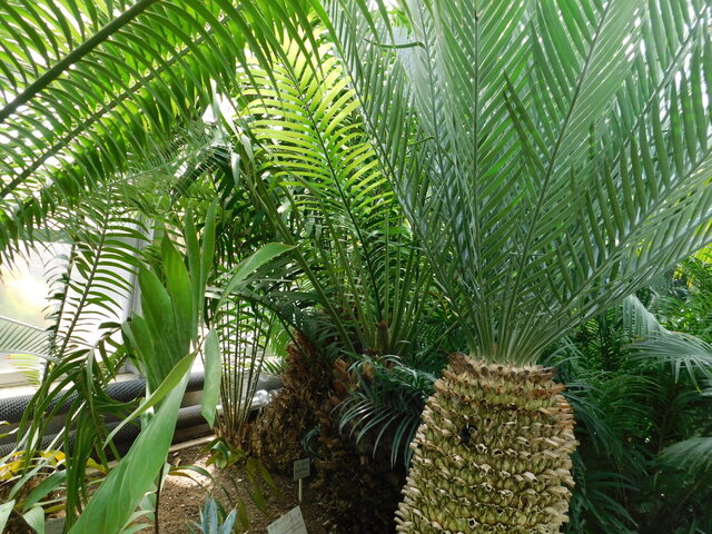 DSCN5111.JPG