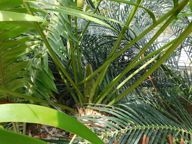 DSCN5114.JPG