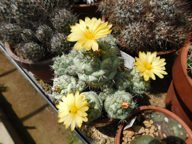 DSCN5116.JPG