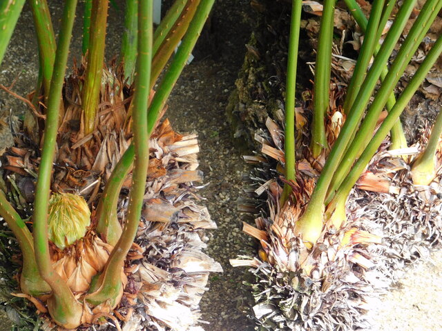 DSCN5117.JPG