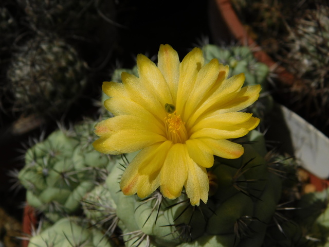 DSCN5118.JPG