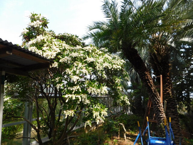 DSCN5127.JPG