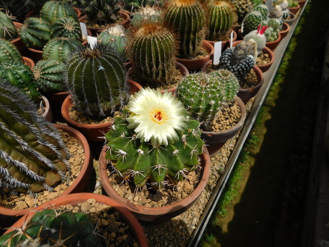 DSCN5162.JPG