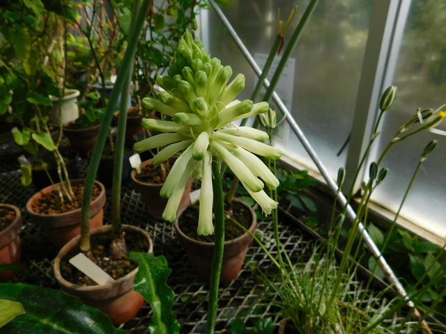 DSCN5164.JPG