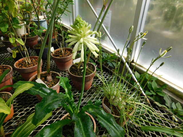 DSCN5166.JPG