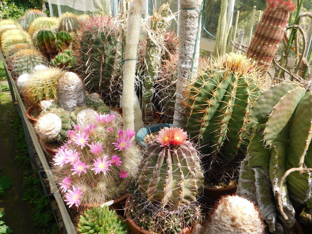DSCN5166.JPG