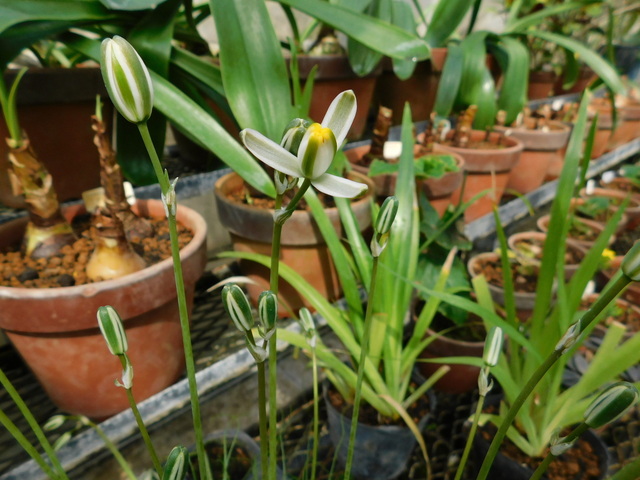 DSCN5168.JPG