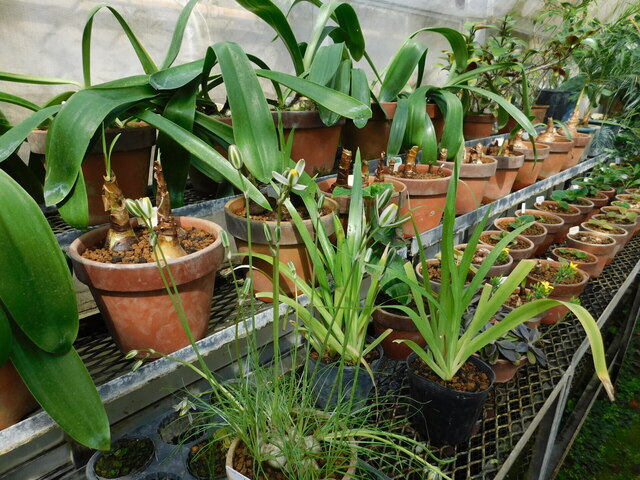 DSCN5170.JPG