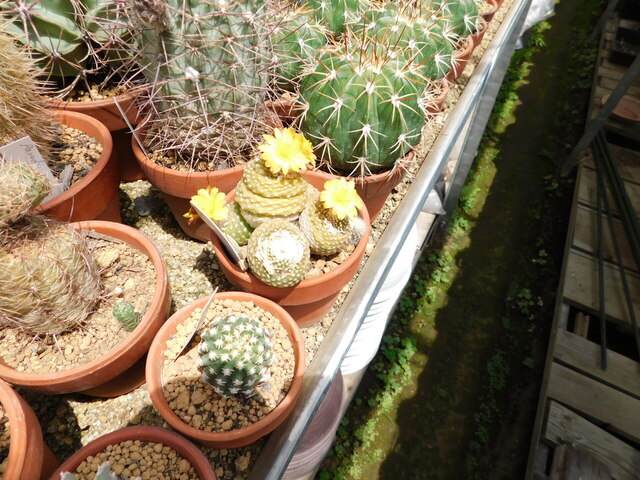 DSCN5172.JPG