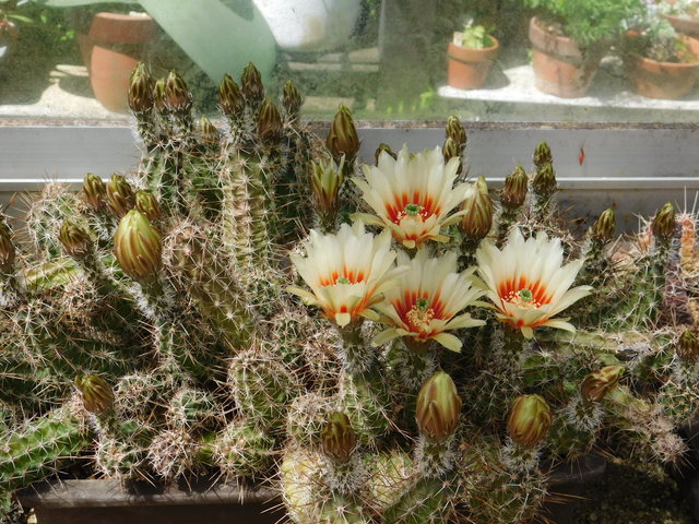 DSCN5172.JPG