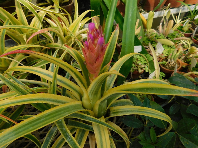 DSCN5173.JPG