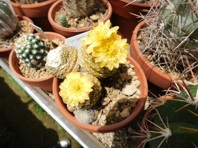 DSCN5173.JPG