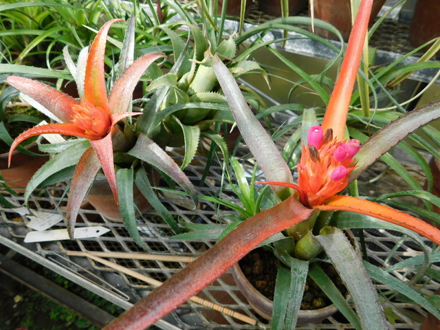 DSCN5176.JPG
