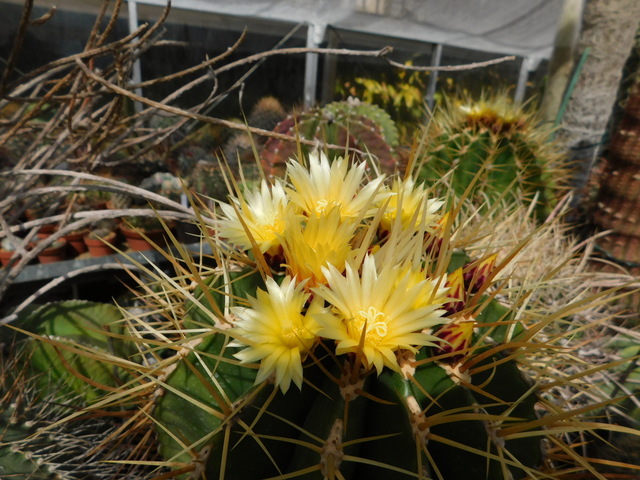 DSCN5182.JPG