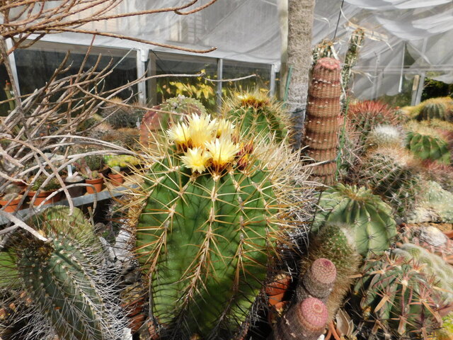 DSCN5186.JPG