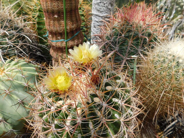 DSCN5186.JPG