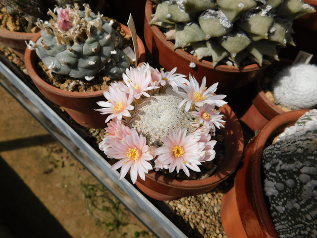 DSCN5188.JPG