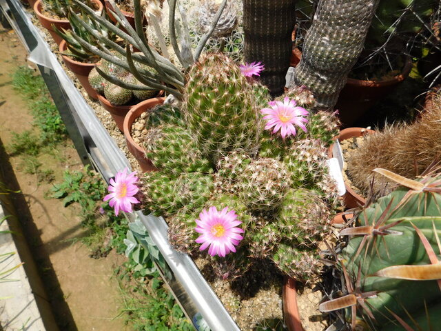 DSCN5188.JPG