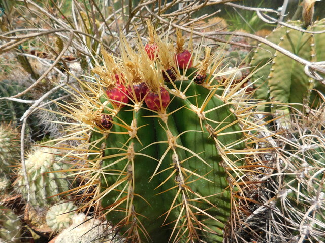 DSCN5189.JPG