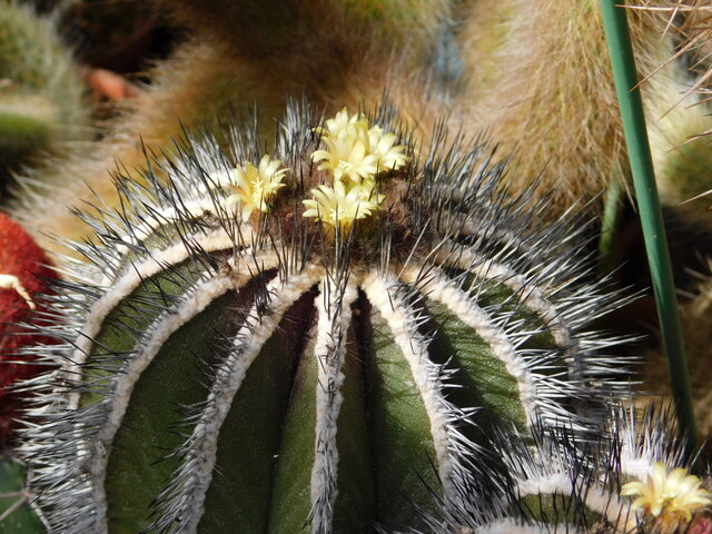 DSCN5192.JPG