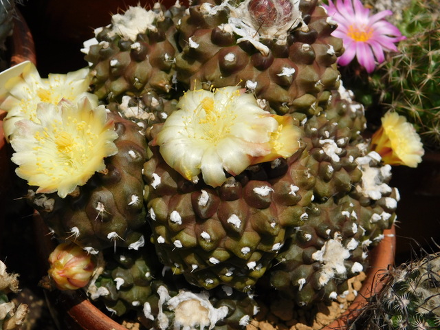 DSCN5194.JPG