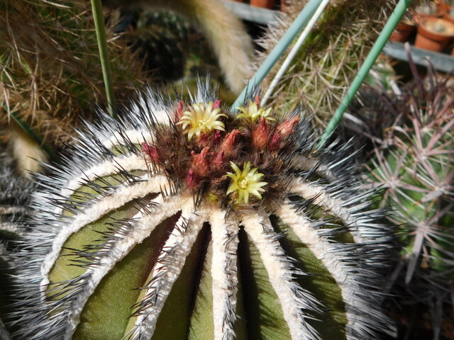 DSCN5194.JPG