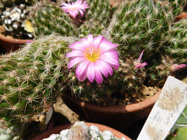 DSCN5196.JPG