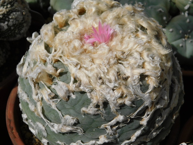 DSCN5202.JPG