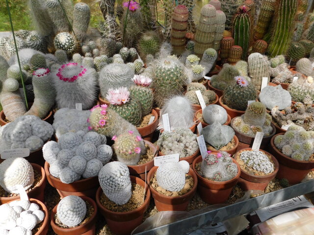 DSCN5204.JPG