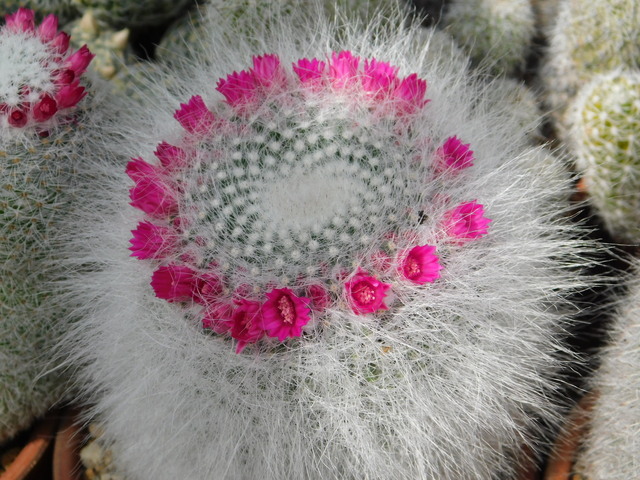 DSCN5205.JPG