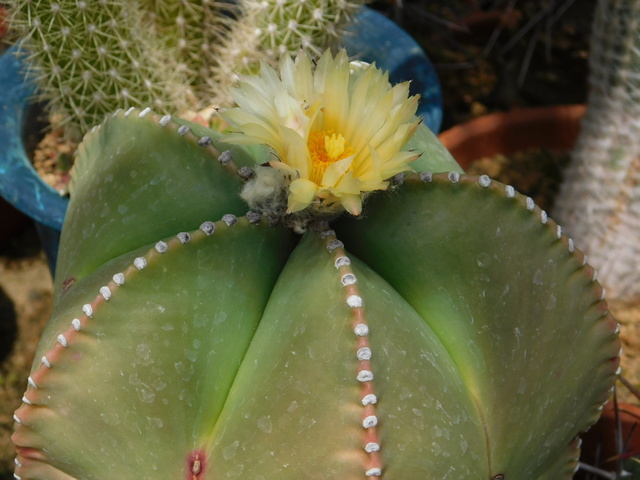 DSCN5205.JPG