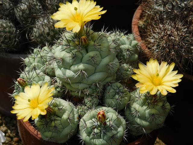 DSCN5207.JPG